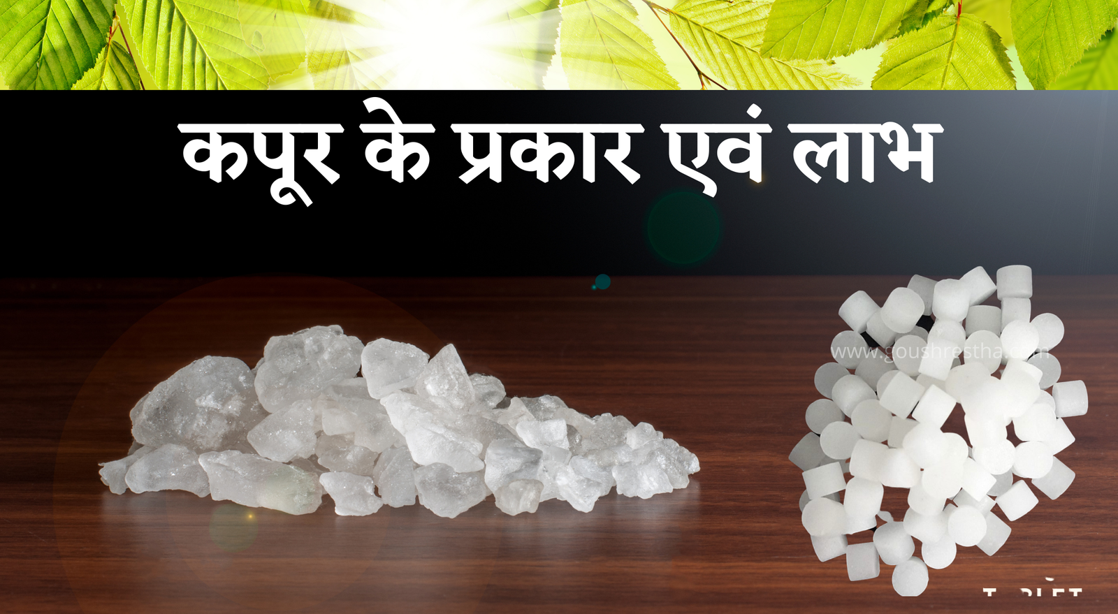 कपूर के प्रकार एवं उसके लाभ क्या है